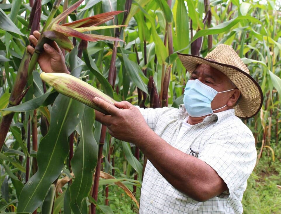 ach-honduras-water-min
